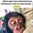���� ����, ����-�����������, 47 ��� - ��������� 23 ���� 2020 � ������ ���� ����������