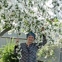 ���� �������, �����������, 73 ���� - ��������� 13 ��� 2020 � ������ ���� ����������