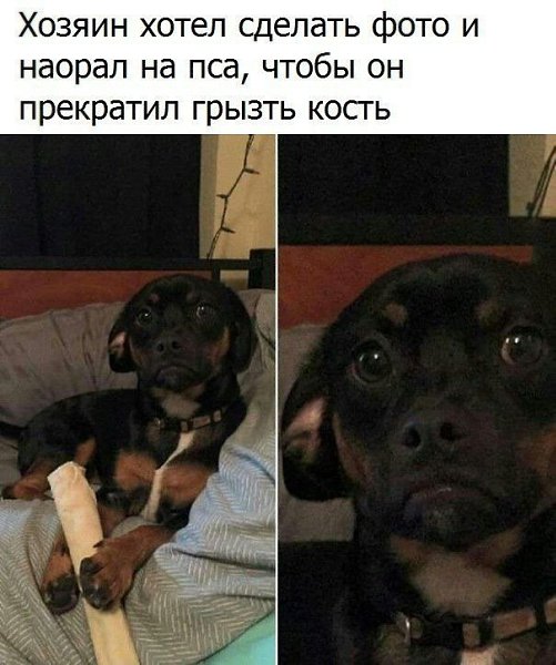 ������ �� ��� :D - 7 ������ 2020 � 19:13