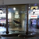 ���� ����, ������ - ��������� 14 ����� 2020 � ������ ���� ����������