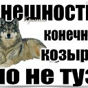���� �����, �����, 64 ���� - ��������� 11 ���� 2020 � ������ ������