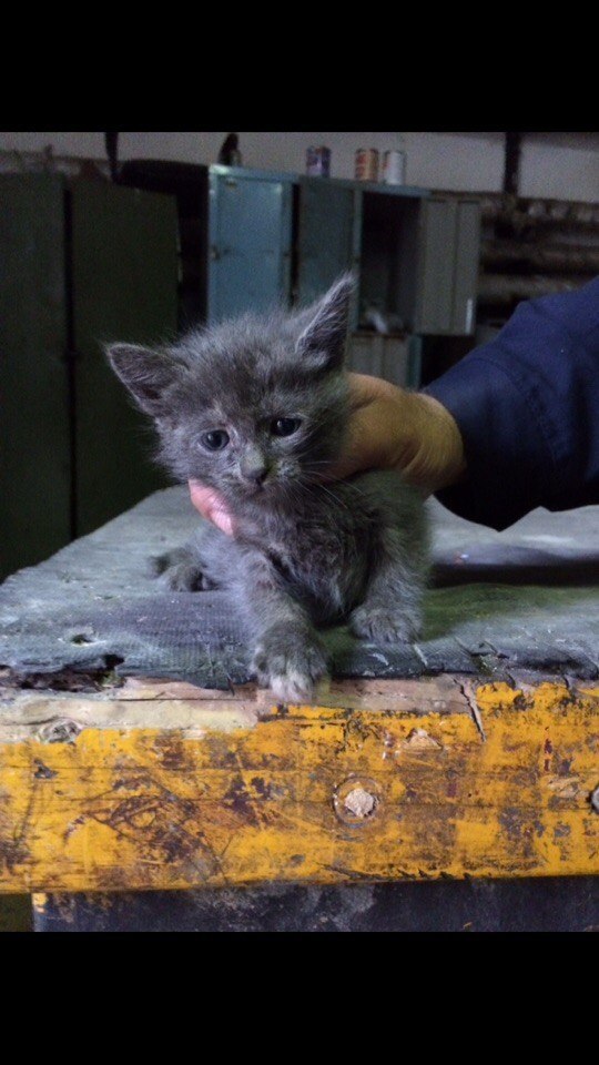 #_.  .      , ,    ...