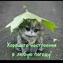 ���� ������, �������, 62 ���� - ��������� 21 ��� 2020 � ������ ���� ����������