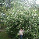 ���� ����� �., ����������� - ��������� 23 ��� 2020 � ������ ���� ����������