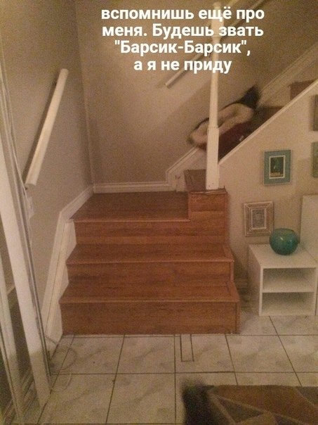 � ��� ��������� ���� ��� - 3