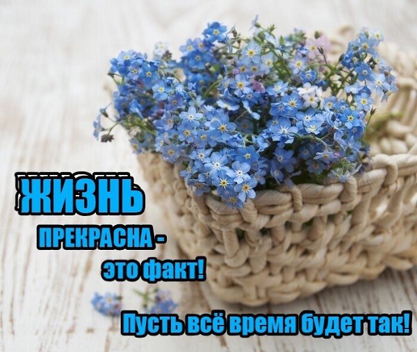   ,    . - 23  2020  14:17 - 2
