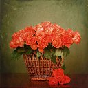 ���� ��������, �����������, 55 ��� - ��������� 16 ����� 2020 � ������ ���� ����������