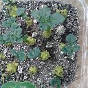 ���� ����, �������, 49 ��� - ��������� 18 ������ 2020 � ������ ��������� ��������