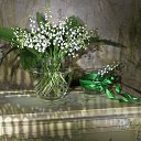 ���� ��������, ����������� - ��������� 13 ������� 2020 � ������ ���� ����������