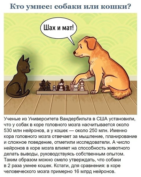 Детские вопросы, на которые ответит далеко не любой взрослый. - 10