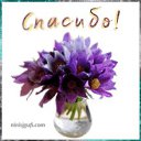 ���� �����, ����������� - ��������� 19 ������ 2020 � ������ ���� ����������