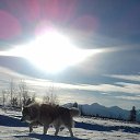 ���� Annushka, ������, 57 ��� - ��������� 4 ���� 2020