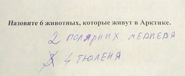 Когда учишься в младших классах, но уже познал жизнь - 5