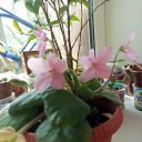 ���� �����, ������, 48 ��� - ��������� 9 ��� 2020 � ������ ���������� �������))�