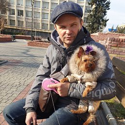 ������, ���������, 58 ���