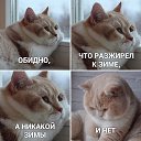 ���� ���, �������, 54 ���� - ��������� 22 ������ 2020 � ������ ���� ����������