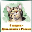 ���� �������, �������� - ��������� 1 ����� 2020 � ������ ������ ��������