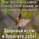 ���� ������, ������, 41 ��� - ��������� 4 ������ 2020 � ������ ���� ����������