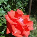 ���� ������, ��� - ��������� 9 ��� 2020 � ������ ������ ��������