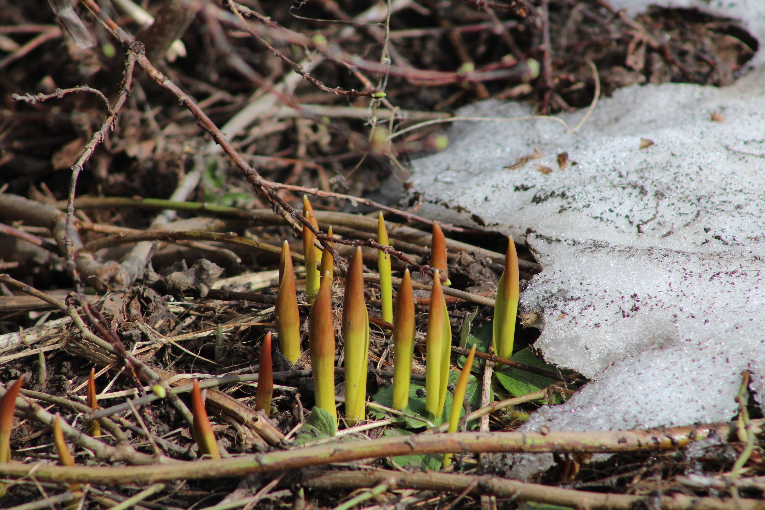 ������! �� ��������� 1 ������( �� ��� ���� ������ �� �� �����,��� �������) , � �� ����� ����� � ... - 3