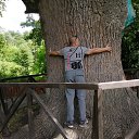 ���� ����, ������ - ��������� 16 ���� 2020 � ������ ���� ����������