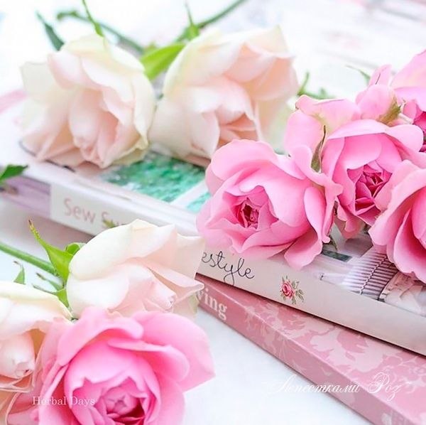   ,    . - 16  2020  20:24