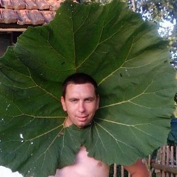 ����, ������, 50 ���