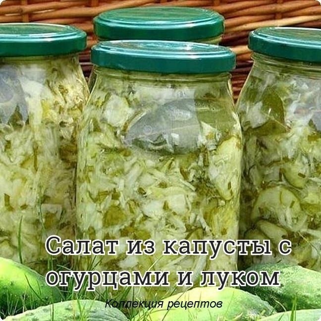 #заготовки #консервация.молодой капусты – 1,5 кгзеленых огурцов – 1,5 кгрепчатого лука – 0,5 ...