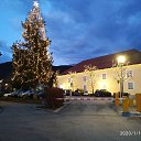 ���� �������, ����� - ��������� 7 ������� 2020 � ������ �������-��������