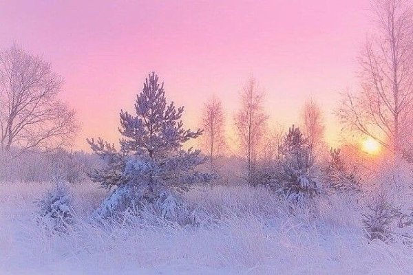 ������ ������� ������ | ����������� - 24 ����� 2020 � 19:06 - 2