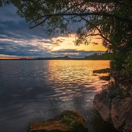 ���� ����, ������, 49 ��� - ��������� 30 ������ 2020