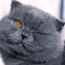 ���� �*, ������ - ��������� 13 ������ 2020 � ������ ���� ����������