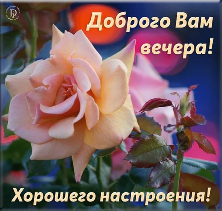   ,    . - 28  2020  17:21