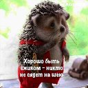 ���� �������, ������ ��������, 82 ���� - ��������� 5 ���� 2020 � ������ ���� ����������
