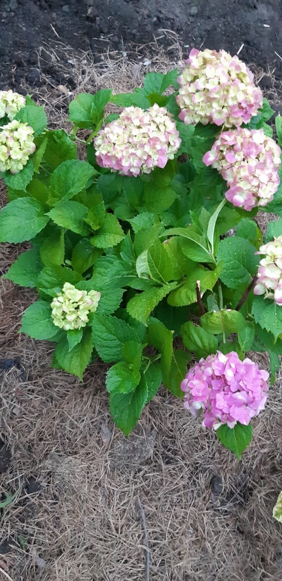  ******** - 28  2020  12:57 - 9