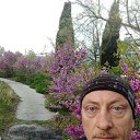 ���� �����, �����������, 58 ��� - ��������� 13 ���� 2020 � ������ ���� ����������