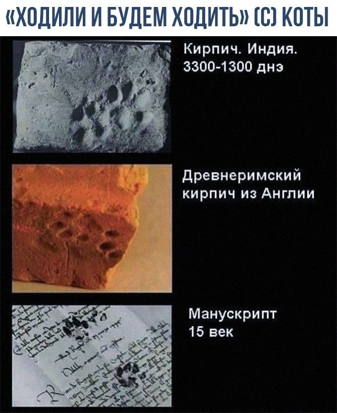    :)
