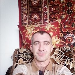 ����, ���������, 44 ����