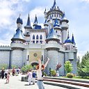 ���� �����, ����-���������, 31 ��� - ��������� 8 ������� 2020 � ������ ���� ����������