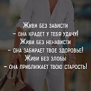 ���� ��������, ������, 49 ��� - ��������� 24 ������ 2020 � ������ ���� ����������