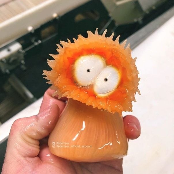  oo o o ,  o  oo  o o -o  ... - 7