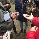 ���� ��������, �����, 41 ��� - ��������� 2 ������ 2020 � ������ ���� ����������