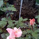  ,  -  3  2020     2020