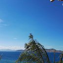 ���� �������, ��������� - ��������� 20 ���� 2020 � ������ ���� ����������