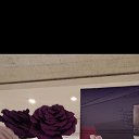 ���� �����, �����-��������� - ��������� 9 ����� 2020 � ������ ������ ��������