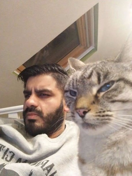     ,          : - 2