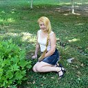 ���� �������, �������, 43 ���� - ��������� 5 ���� 2020 � ������ ���� ����������