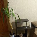 ���� Alex, ��������� - ��������� 12 ��� 2020 � ������ �������