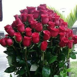 ���� ���������, ���������, 50 ��� - ��������� 23 ������ 2020