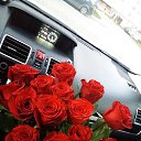 ���� ��������, ����������� - ��������� 8 ������� 2020 � ������ �������...�
